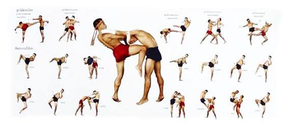 muay thai martial arts instructions poster demonstrating how to execute martial arts moves